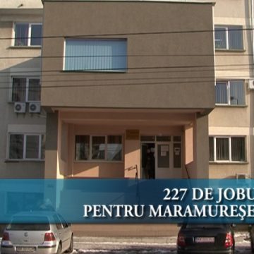 227 de joburi pentru maramureşeni 227 de joburi pentru maramureşeni