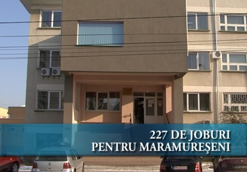 227 de joburi pentru maramureşeni 227 de joburi pentru maramureşeni
