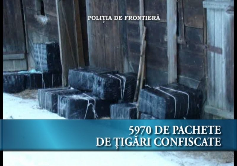 5970 de pachete de ţigări confiscate 5970 de pachete de ţigări confiscate