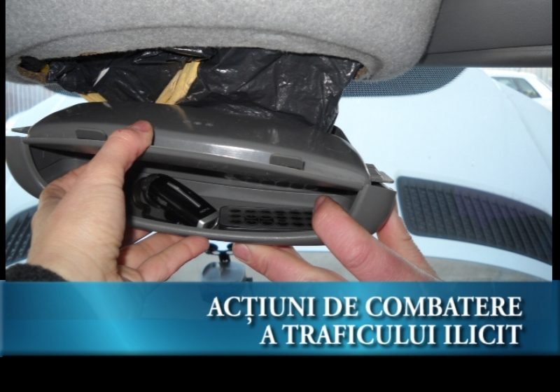 Acțiuni de combatere Acțiuni de combatere