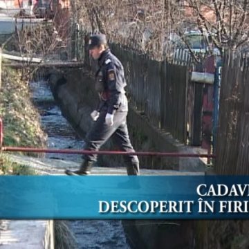 Cadavru în Firiza Cadavru în Firiza