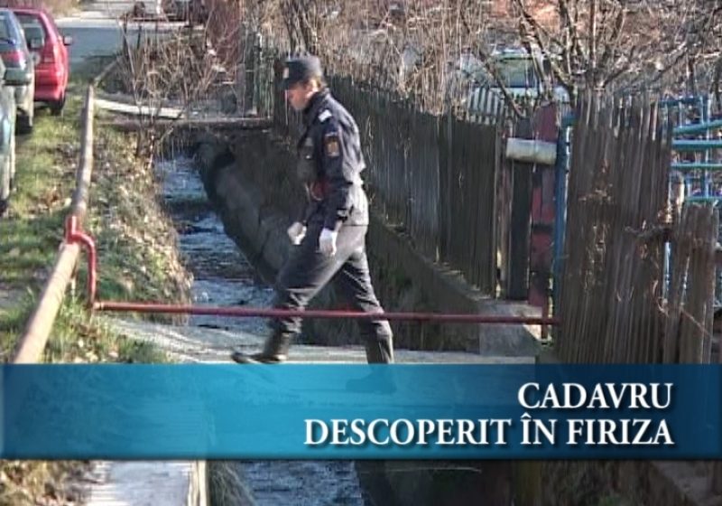 Cadavru în Firiza Cadavru în Firiza