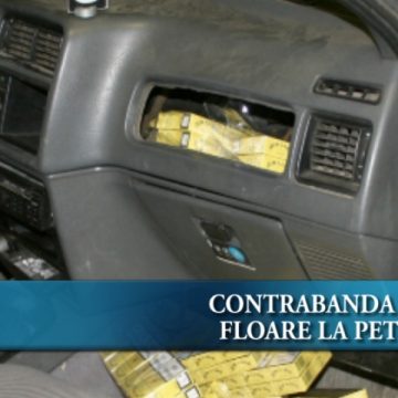 Contrabandă în floare la Petea Contrabandă în floare la Petea