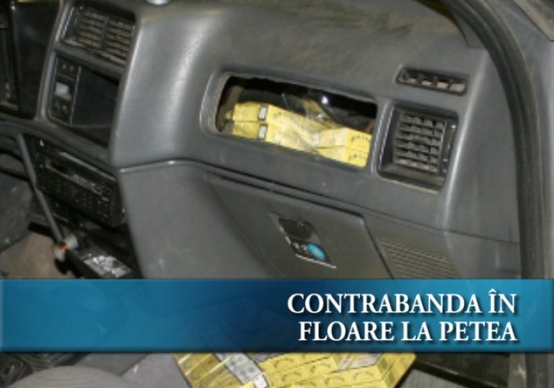 Contrabandă în floare la Petea Contrabandă în floare la Petea