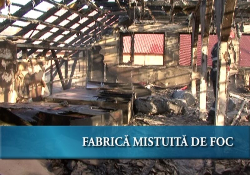 Fabrică mistuită de flăcări