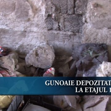 Gunoaie depozitate la etajul 10