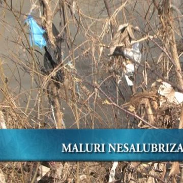 Igienizarea malurilor