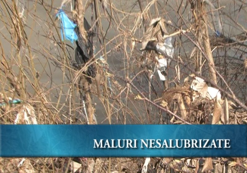 Igienizarea malurilor Igienizarea malurilor
