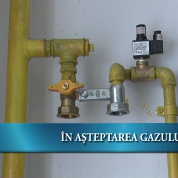 În aşteptarea gazului