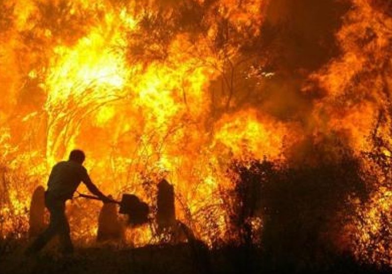 Cel puţin 30 de incendii de păşuni s-au produs în luna martie, în judeţul Maramureş