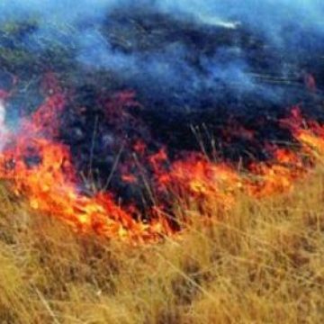 Amenzi pentru incendierea vegetaţiei Amenzi pentru incendierea vegetaţiei