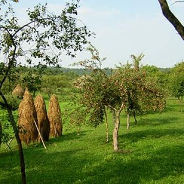Maramureşul, o destinaţie de top Maramureşul, o destinaţie de top