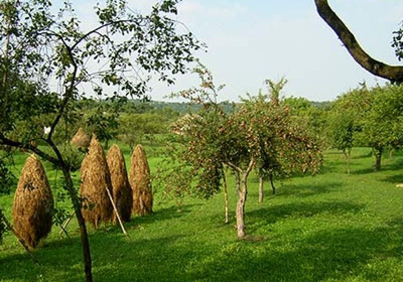 Maramureşul, o destinaţie de top