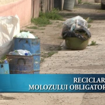 Reciclarea molozului obligatoriu Reciclarea molozului obligatoriu