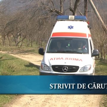 Strivit de căruţă