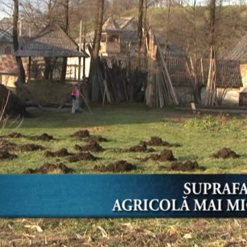 Suprafaţa agricolă mai mică după recensământ