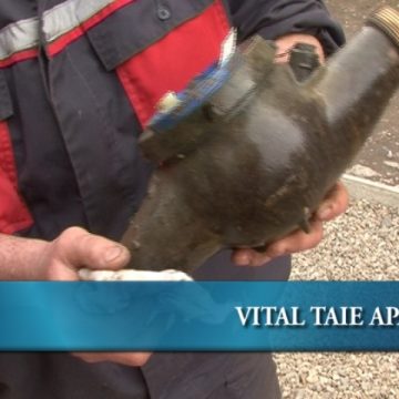 Vital taie apa Vital taie apa