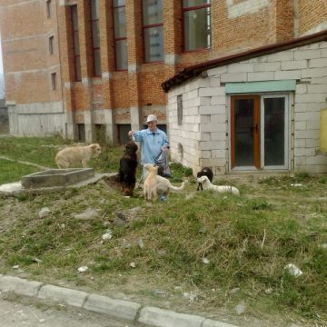 Comunitarii