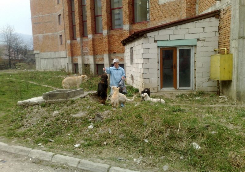 Comunitarii