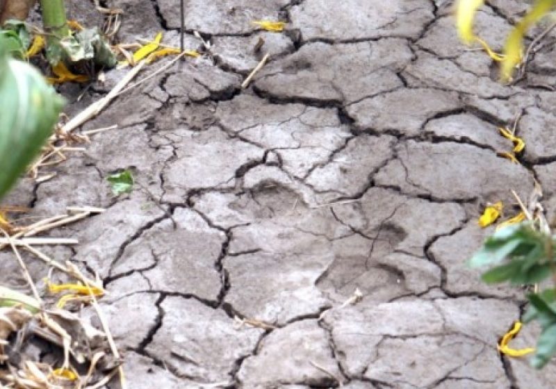 Europa se va confrunta cu episoade de secetă şi inundaţii în serie