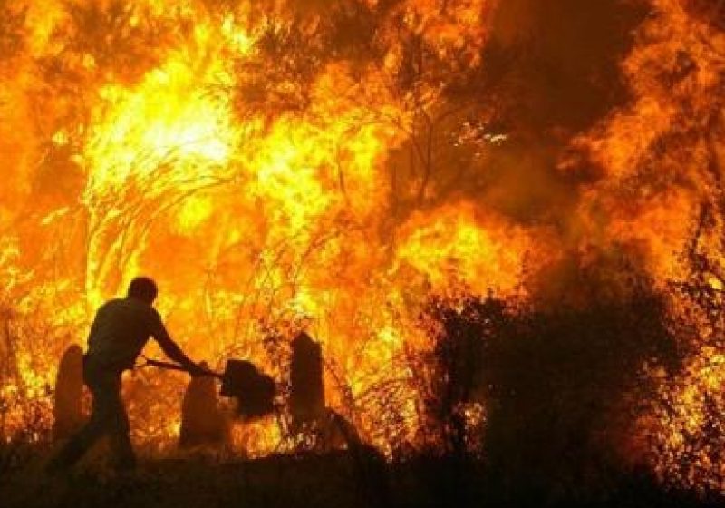 Doua case grav avariate în urma unui incendiu izbucnit pe strada Titu Maiorescu, în Sighetu Marmatiei Doua case grav avariate în urma unui incendiu izbucnit pe strada Titu Maiorescu, în Sighetu Marmatiei