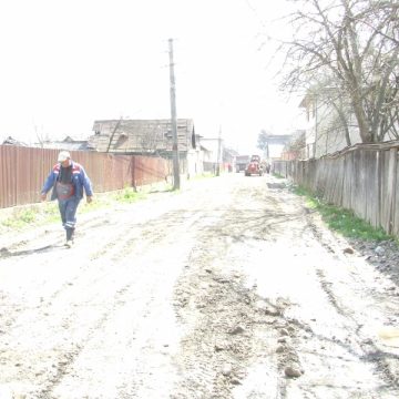 Alo Urbana, prea mult pietriş!
