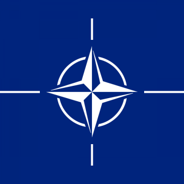 NATO recrutează ingineri români