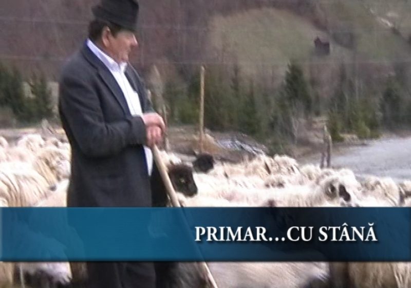Primar cu spirit de antreprenor