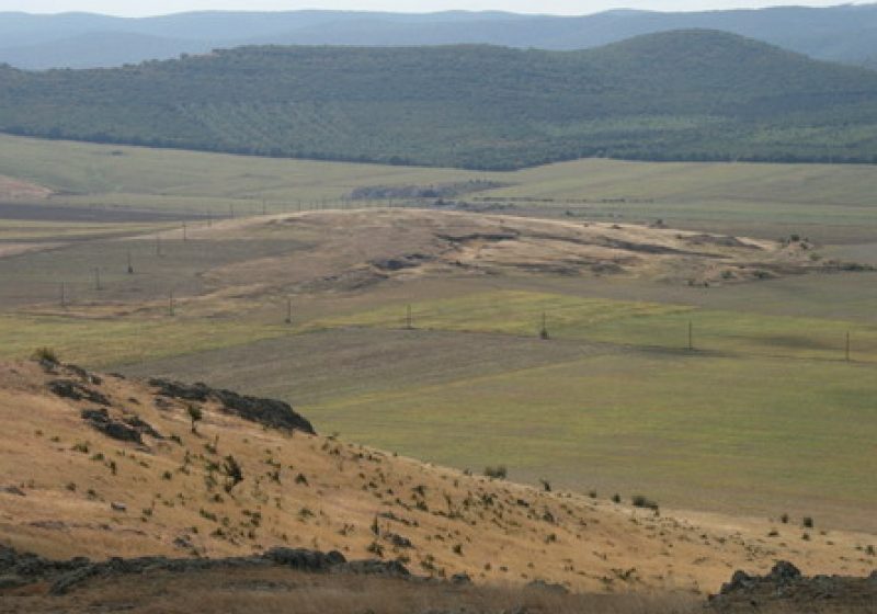 Steril purtat de vânt în localitatea Lăpuşel Steril purtat de vânt în localitatea Lăpuşel
