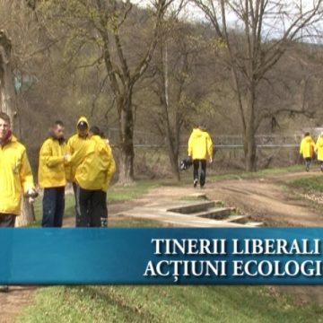 Tinerii liberali au demarat o acţiune de ecologizare