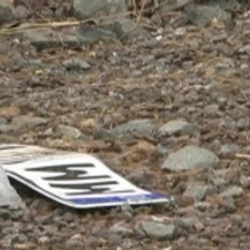 Consilierul Gheorghe Hârb acuzat de ucidere din culpă va fi cercetat în continuare în stare de arest Consilierul Gheorghe Hârb acuzat de ucidere din culpă va fi cercetat în continuare în stare de arest