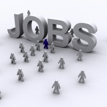 AJOFM  anuţă 202 locuri de muncă vacante pentru Maramureş