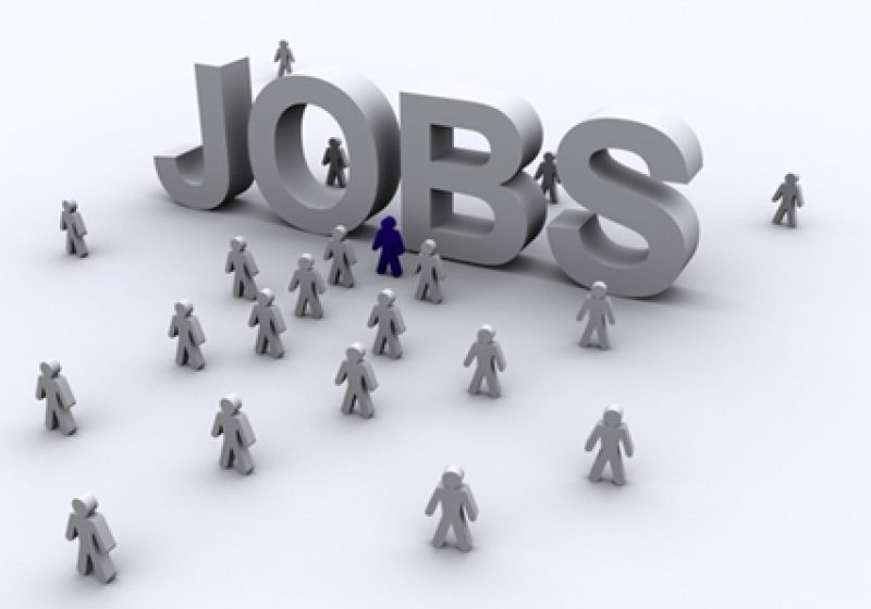 AJOFM  anuţă 202 locuri de muncă vacante pentru Maramureş