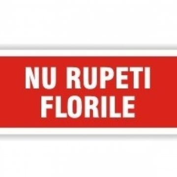 Atenție, nu rupeți florile!
