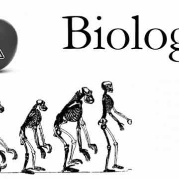 68 de elevi şi profesori participă la un concurs naţional de biologie găzduit în Maramureş 68 de elevi şi profesori participă la un concurs naţional de biologie găzduit în Maramureş