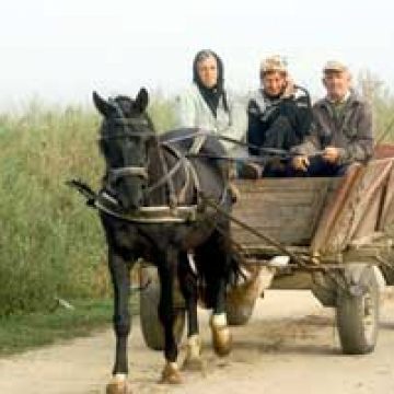 Răniţi în timpul lucrărilor agricole