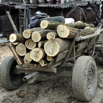 O sigheteancă a căzut victima unei înşelăciuni după ce a targuit o căruţă de lemne de foc O sigheteancă a căzut victima unei înşelăciuni după ce a targuit o căruţă de lemne de foc