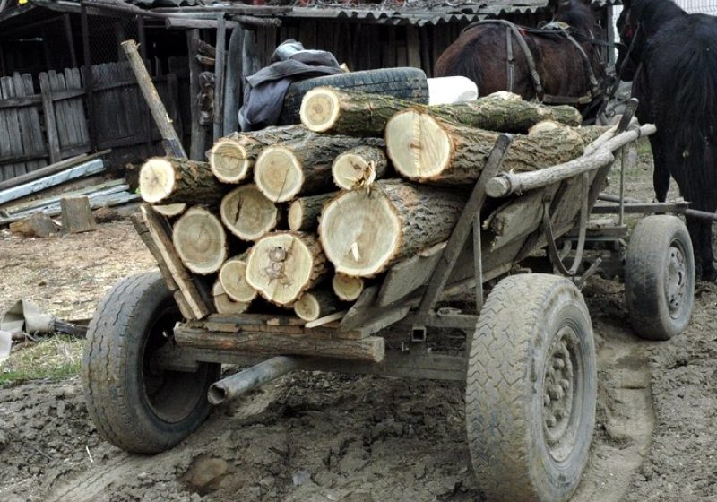 O sigheteancă a căzut victima unei înşelăciuni după ce  a targuit o căruţă de lemne de foc