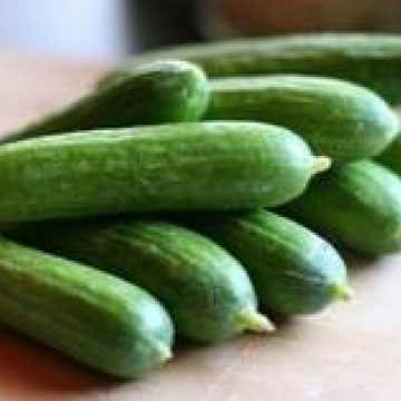 ANSVSA: România nu a primit loturi de castraveţi bio din Spania