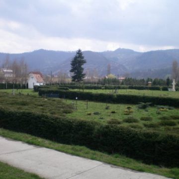 Pelerinajul Național anual la Cimitirul Săracilor din Sighetu Marmației va avea loc 14 mai 2011.