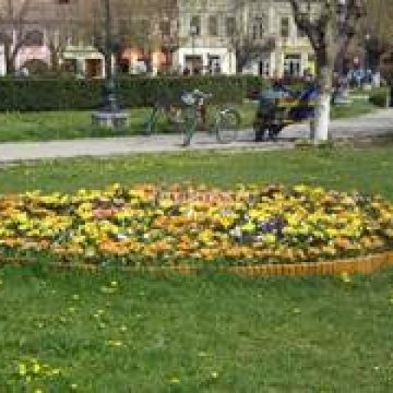 Dosar penal pentru distrugerea florilor Dosar penal pentru distrugerea florilor