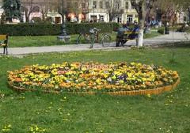 Dosar penal pentru distrugerea florilor