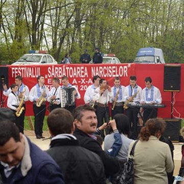 In acest sfarsit de saptamana, în comuna Repedea va avea loc traditionalul festival “Sarbatoarea Narciselor” In acest sfarsit de saptamana, în comuna Repedea va avea loc traditionalul festival “Sarbatoarea Narciselor”