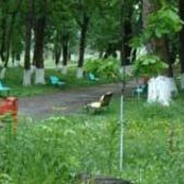 Parcul Grădina Morii a ajuns loc de păşunat