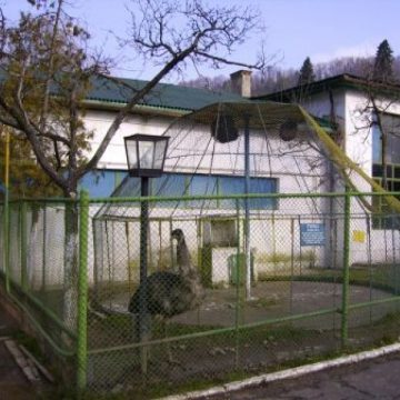 Situație nefericită pentru Grădina Zoologică din Baia Mare Situație nefericită pentru Grădina Zoologică din Baia Mare