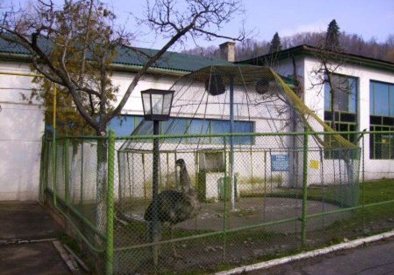 Situație nefericită pentru Grădina Zoologică din Baia Mare