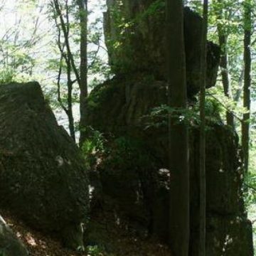 Şase persoane s-au rătăcit pe masivul Igniş