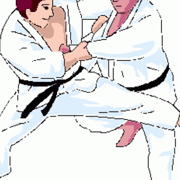 Echipa Ministerului Administraţiei şi Internelor, pe podium la Campionatul European de Judo al Poliţiştilor