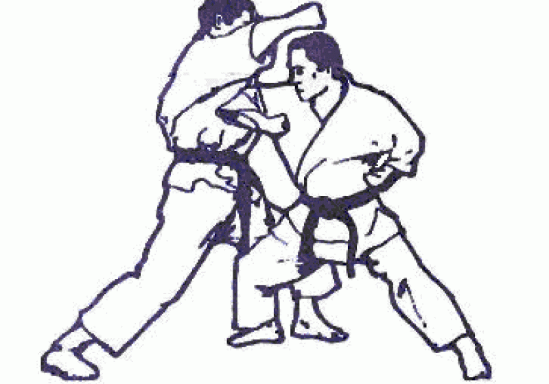 Locul II pentru sigheteni la Campionatul Mondial de Karate