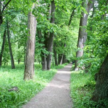 22 Mai – Ziua Internaţională a Diversităţii Biologice 22 Mai – Ziua Internaţională a Diversităţii Biologice